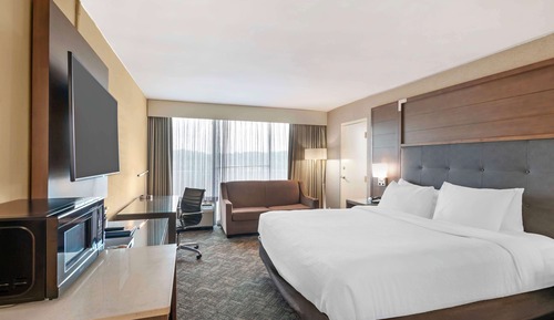 Standard Room, 1 King Bed, Accessible, Refrigerator