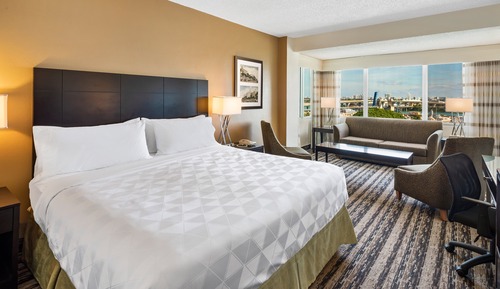 Standard Room, 1 King Bed with Sofa bed