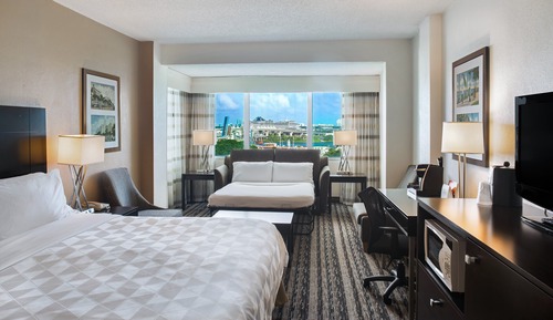 Standard Room, 1 King Bed with Sofa bed