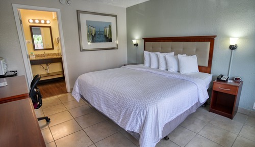 Standard Single Room, 1 King Bed