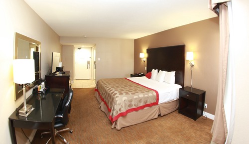 Room, 1 King Bed, Non Smoking