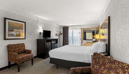 Room, 1 King Bed, Non Smoking, Hot Tub (No View)