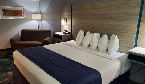 Standard Room, 1 King Bed, Non Smoking, Refrigerator & Microwave (with Single Sofabed)