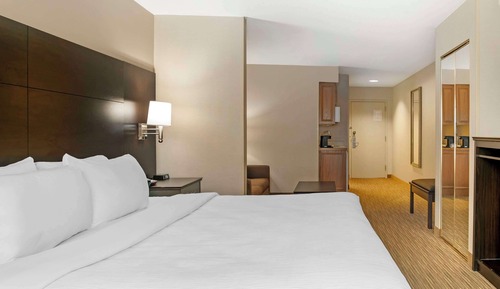 Suite, 1 King Bed with Sofa bed, Non Smoking