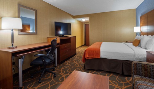 Suite, 1 King Bed, Non Smoking, Refrigerator & Microwave (with Sofabed)