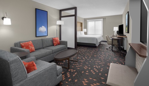 Suite, 1 King Bed with Sofa bed