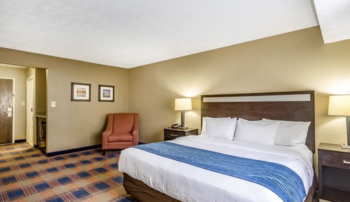 Room, 1 King Bed, Accessible, Non Smoking (Roll-In Shower)