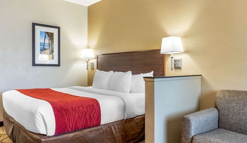 Suite, 1 King Bed with Sofa Bed, Non Smoking