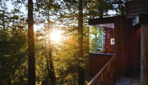 Tree House