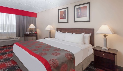 Room, 1 Queen Bed, Non Smoking