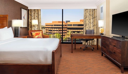 Suite, 1 Bedroom