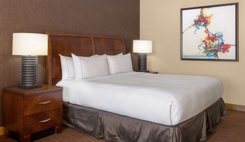 Room, 1 King Bed with Sofa bed