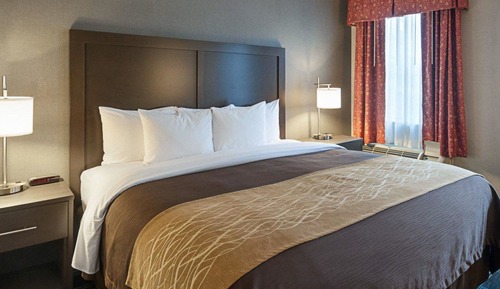 Standard Room, 1 King Bed, Non Smoking (Courtyard)