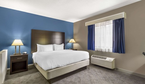 Suite, 1 King Bed with Sofa bed, Non Smoking