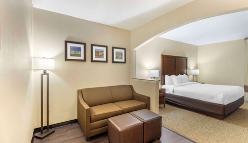 Suite, 1 King Bed with Sofa bed, Non Smoking