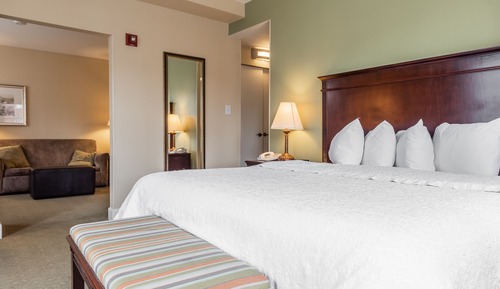 One King, One Bedroom Suite, Non-Smoking
