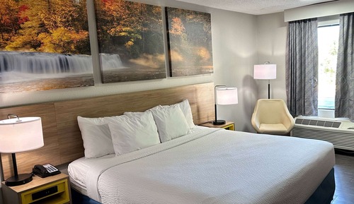 Room, 1 King Bed, Accessible