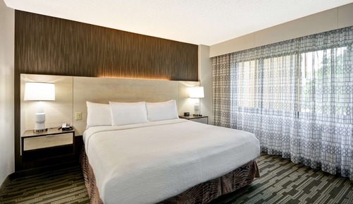 Suite, 1 King Bed, Non Smoking (Parlor)