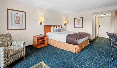Standard Room, 1 King Bed with Sofa bed, Non Smoking, Refrigerator & Microwave (with Sofabed)