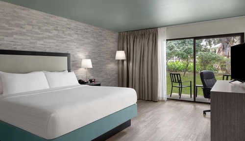 Standard Room, 1 King Bed, Terrace, Courtyard View
