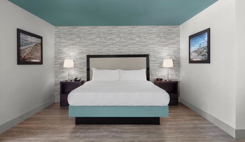 Deluxe Studio, 1 King Bed with Sofa bed