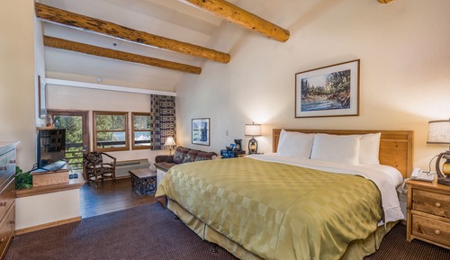 Standard Suite, 1 King Bed with Sofa bed, Fireplace, Pool View