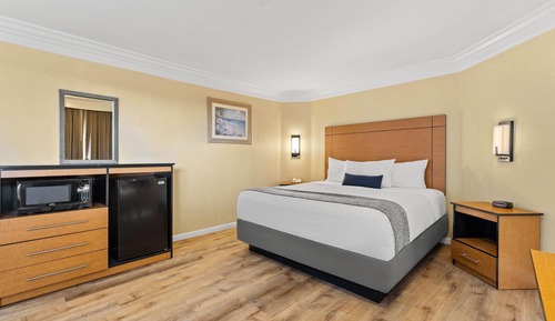 Room, 1 King Bed, Non Smoking