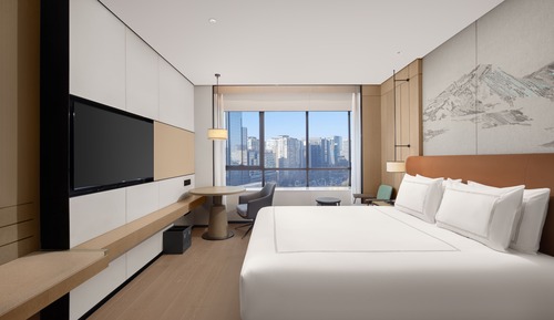 Premier Room,1 King Bed,View