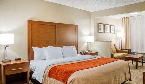 Room, 1 King Bed, Non Smoking