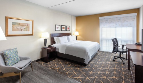 Room, 1 King Bed, Accessible Bathtub (Comm, Mobil, Access Tub)