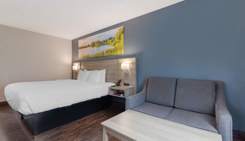 Standard Room, 1 King Bed, Non Smoking