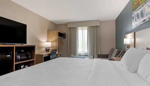 Room, 1 King Bed, Accessible, Non Smoking