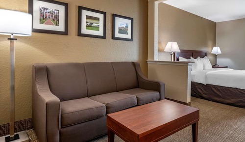 Suite, 1 King Bed with Sofa bed