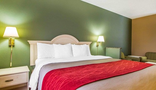 Standard Room, 1 King Bed with Sofa bed, Non Smoking
