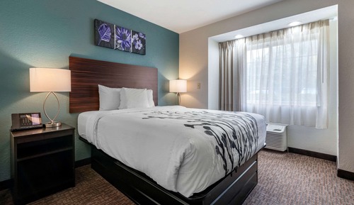 Standard Room, 1 King Bed, Non Smoking