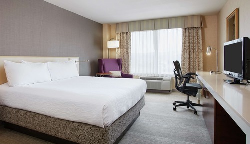 Room, 1 King Bed, Accessible (Roll-in Shower)