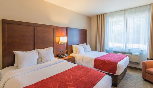 Studio Suite, Multiple Beds