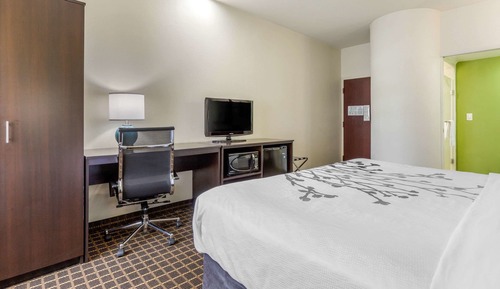 Standard Room, 1 King Bed, Non Smoking