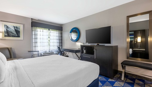 Standard Room, 1 King Bed, Non Smoking, Refrigerator & Microwave