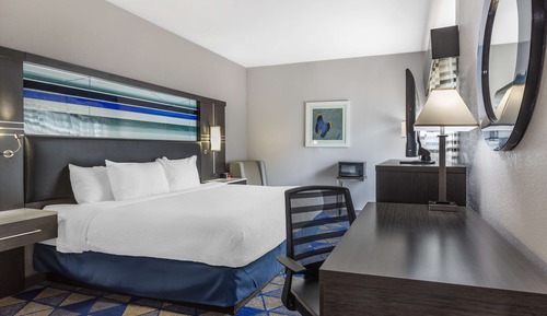 Standard Room, 1 King Bed, Accessible, Non Smoking