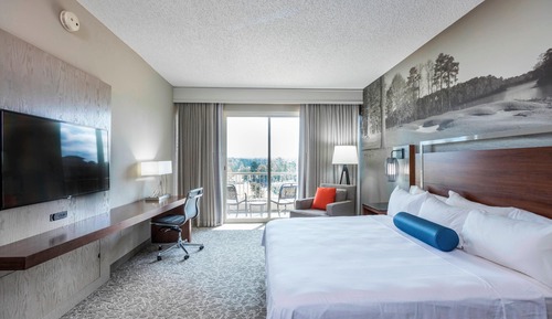 Room, 1 King Bed