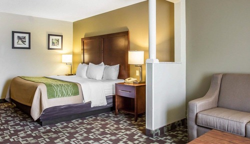 Suite, 1 King Bed with Sofa bed, Accessible, Non Smoking