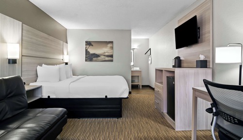 Suite, 1 King Bed, Non Smoking, Ground Floor (with Sofabed)