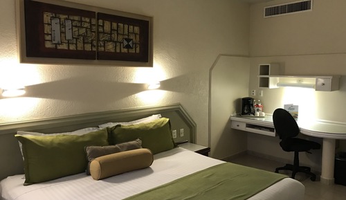 Executive Suite, 1 King Bed