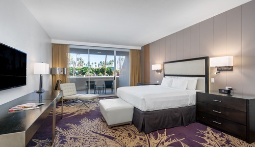 Superior Room, 1 King Bed, Mountain View
