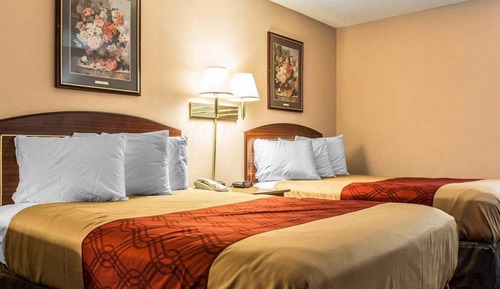 Standard Room, 2 Double Beds
