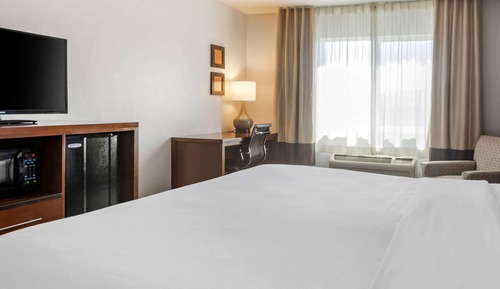 Room, 1 King Bed, Non Smoking (Pet Friendly)