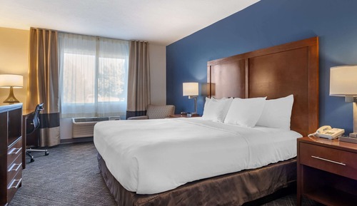 Standard Room, 1 King Bed, Non Smoking