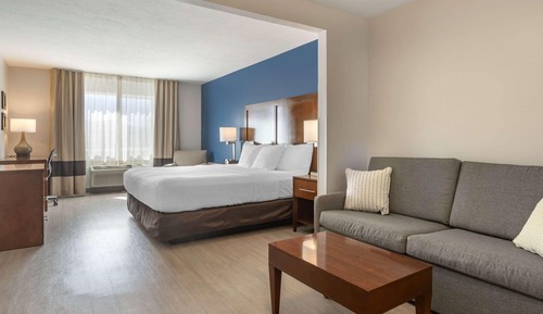 Suite, 1 King Bed with Sofa bed, Non Smoking (Pet Friendly)
