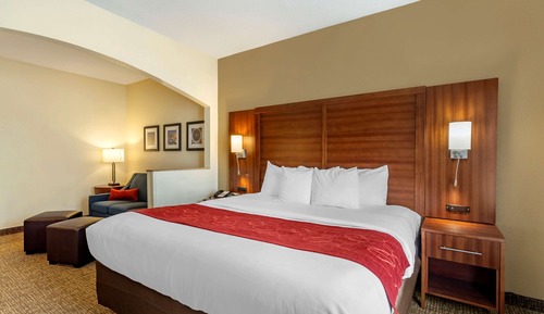 Suite, 1 King Bed, Non Smoking
